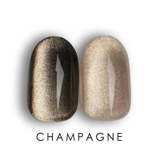 Universal Magnetic Gel "Champagne"